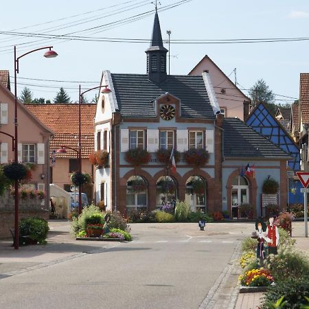 Cosy Holiday Home In Schleithal With Garden Kültér fotó