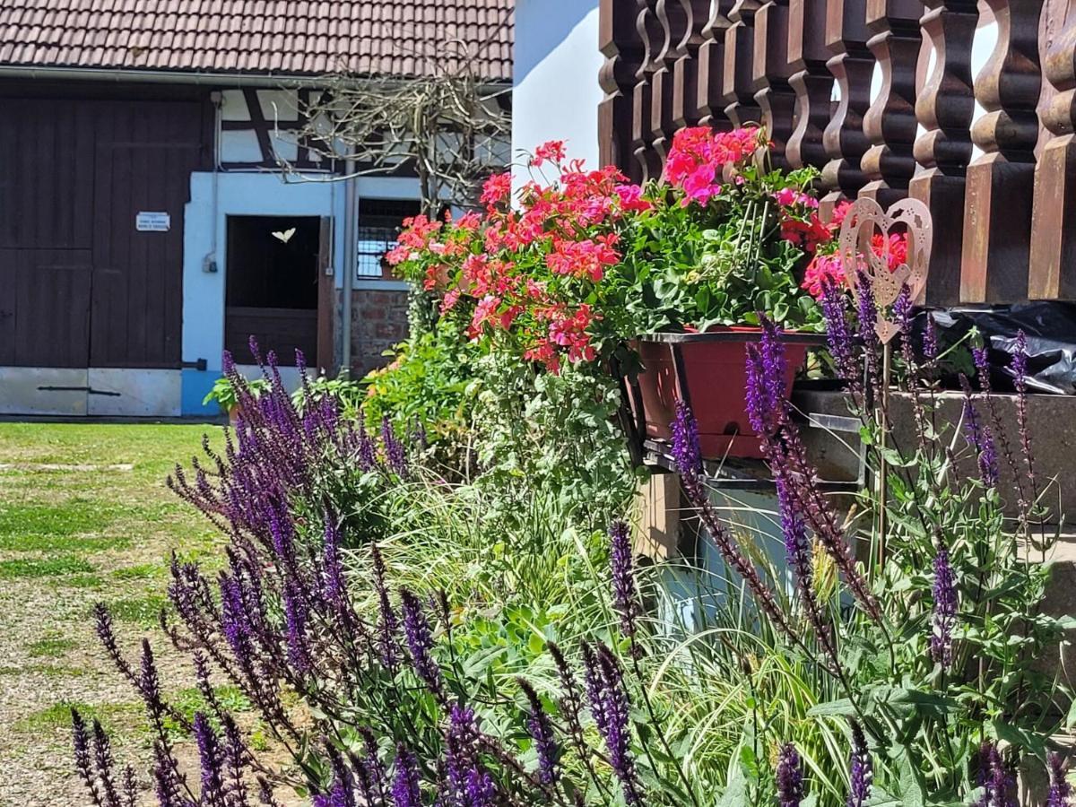 Cosy Holiday Home In Schleithal With Garden Kültér fotó