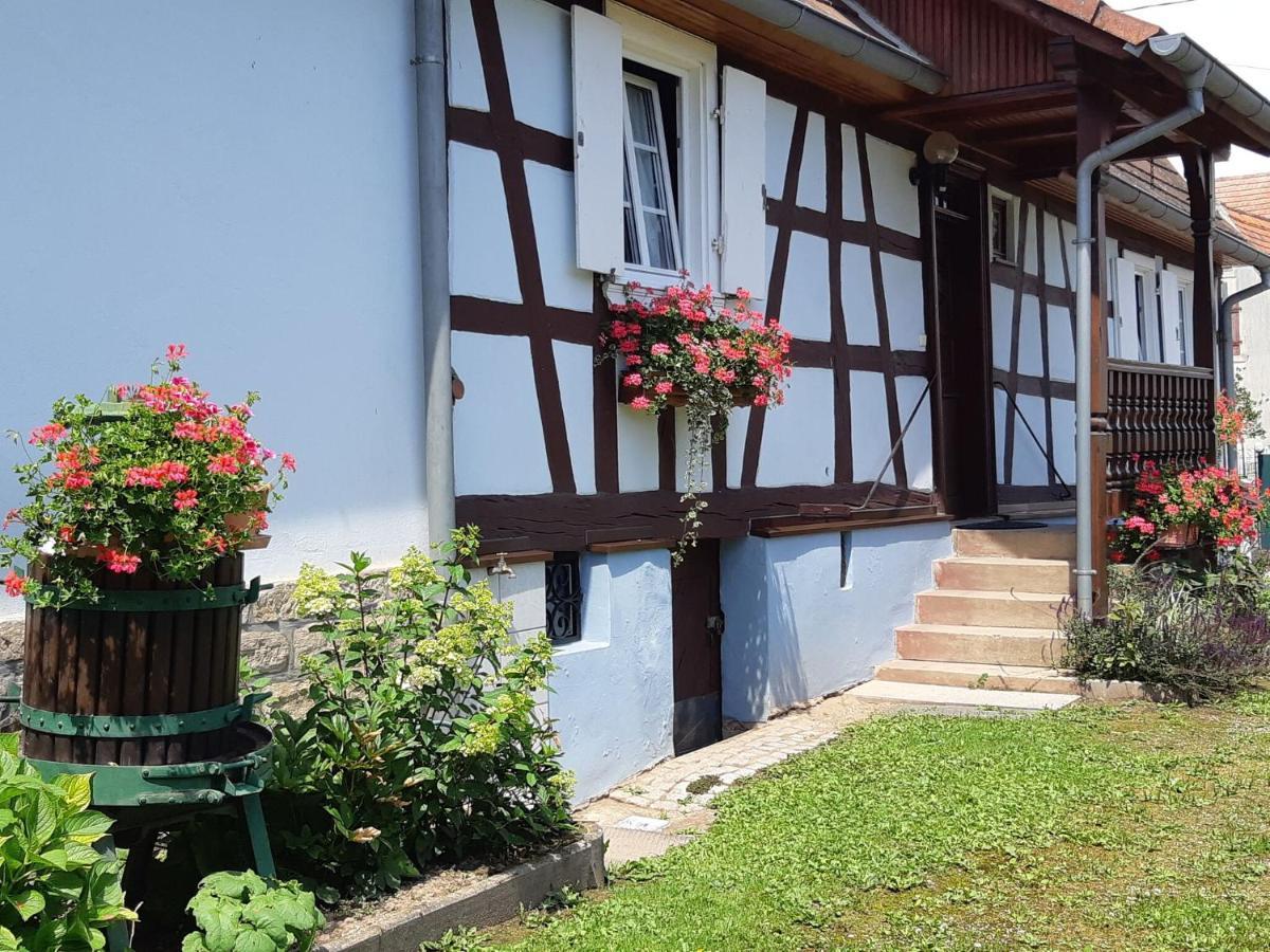 Cosy Holiday Home In Schleithal With Garden Kültér fotó