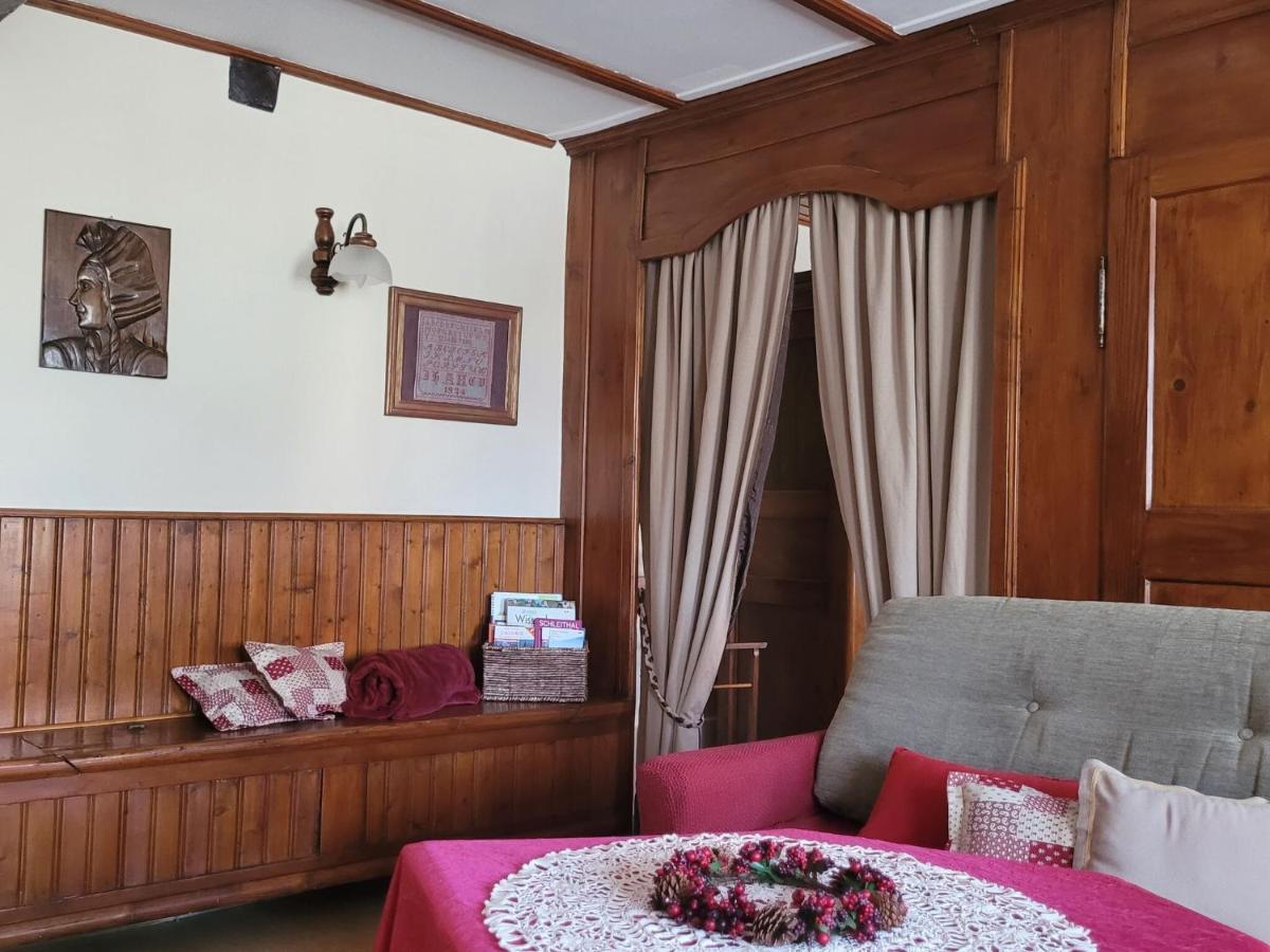 Cosy Holiday Home In Schleithal With Garden Kültér fotó