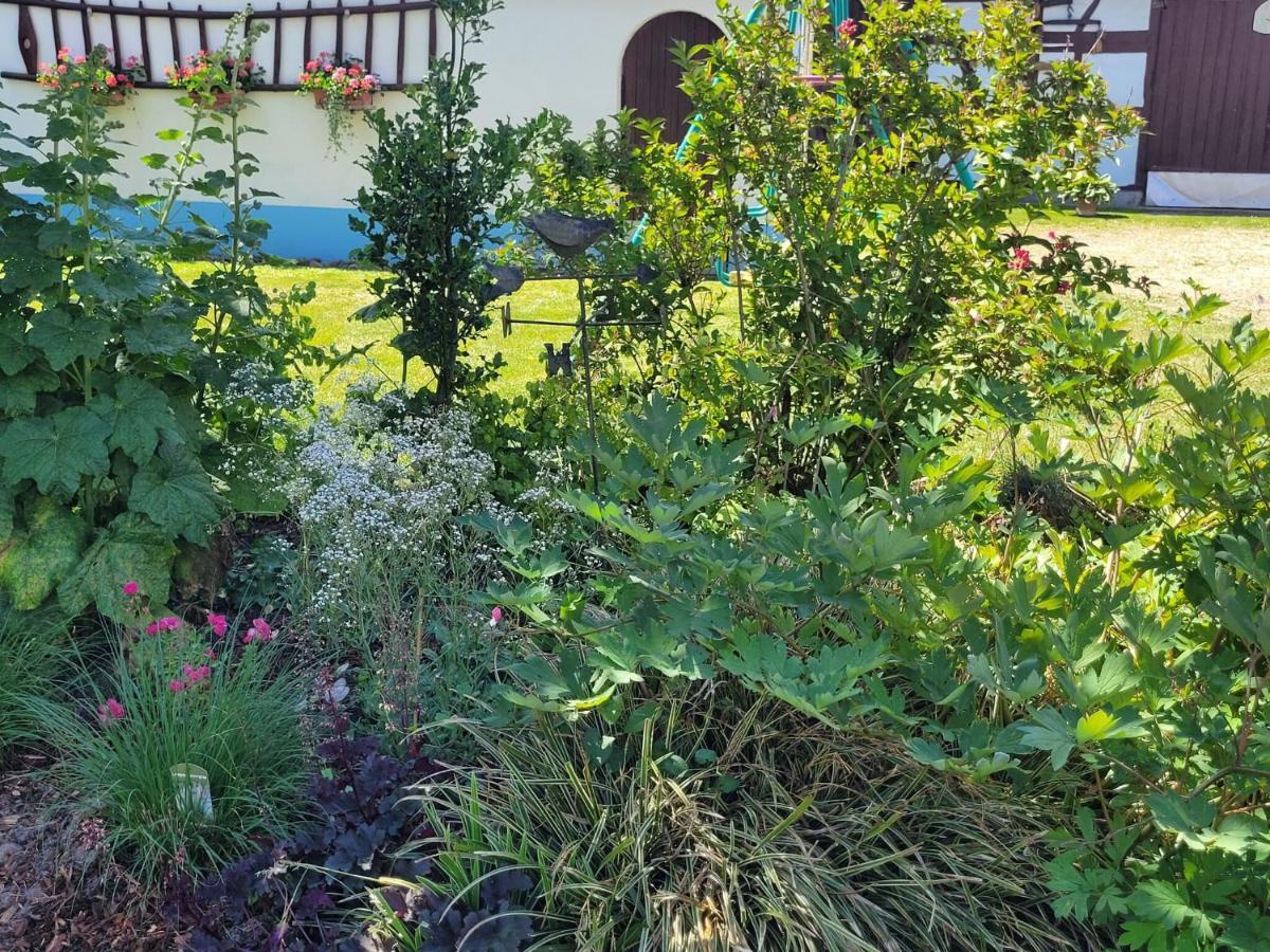 Cosy Holiday Home In Schleithal With Garden Kültér fotó