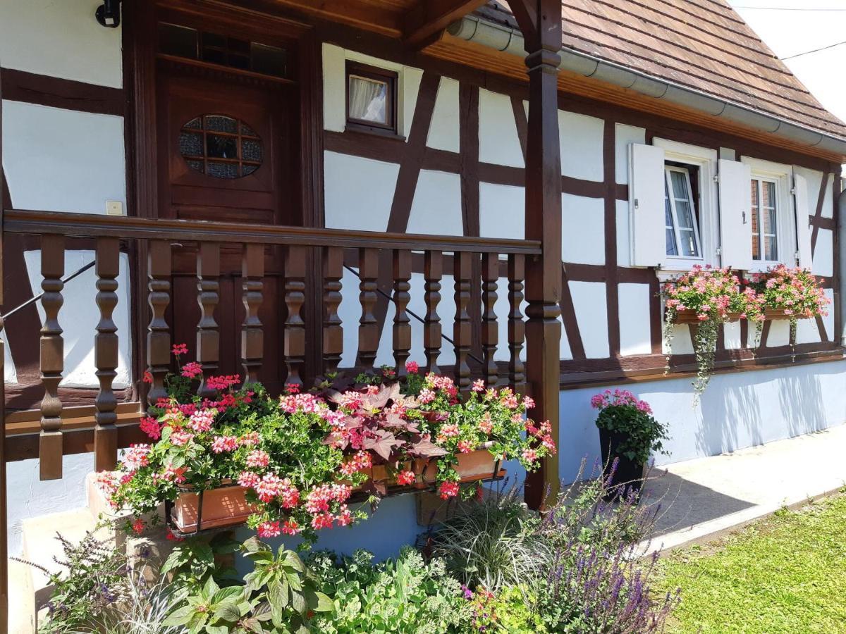 Cosy Holiday Home In Schleithal With Garden Kültér fotó