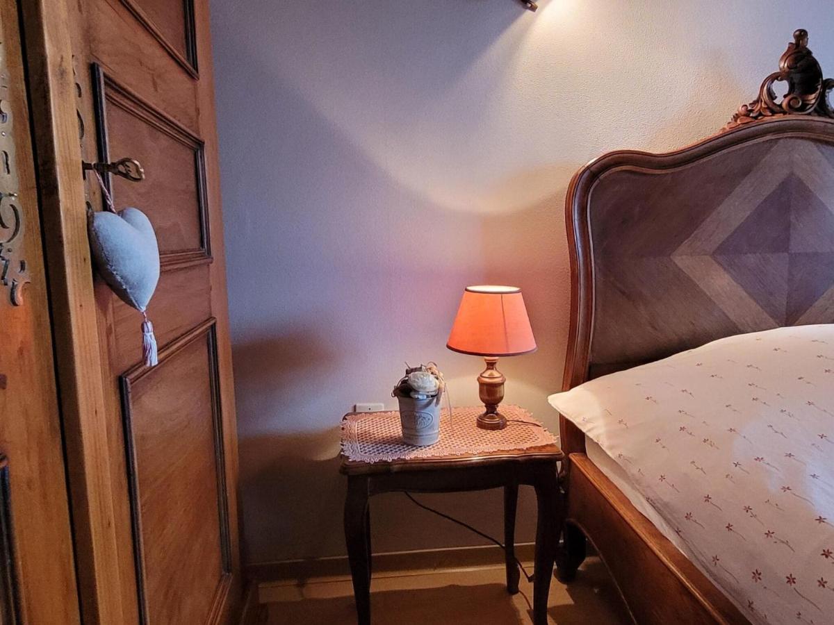 Cosy Holiday Home In Schleithal With Garden Kültér fotó