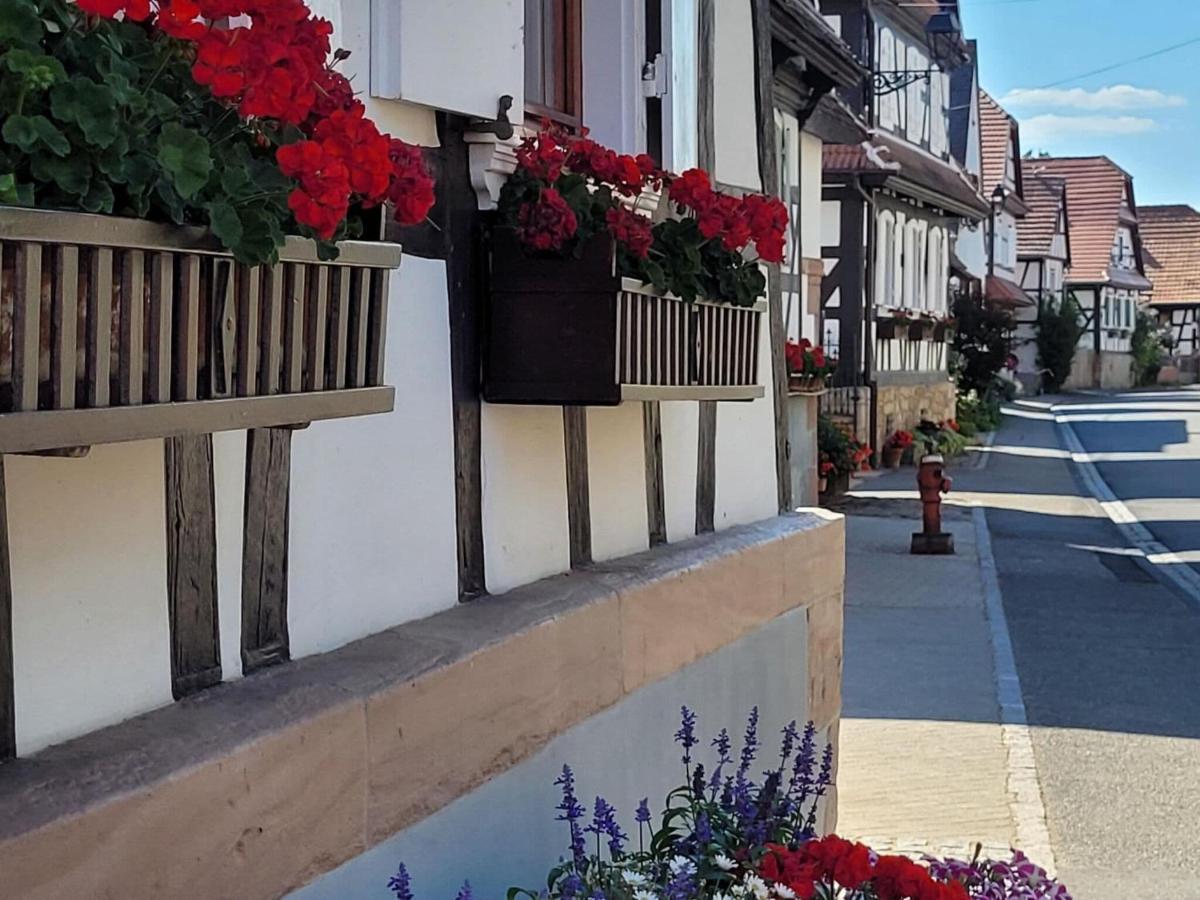 Cosy Holiday Home In Schleithal With Garden Kültér fotó