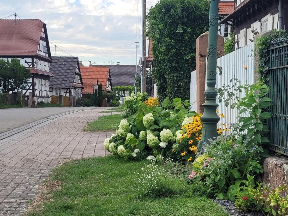 Cosy Holiday Home In Schleithal With Garden Kültér fotó