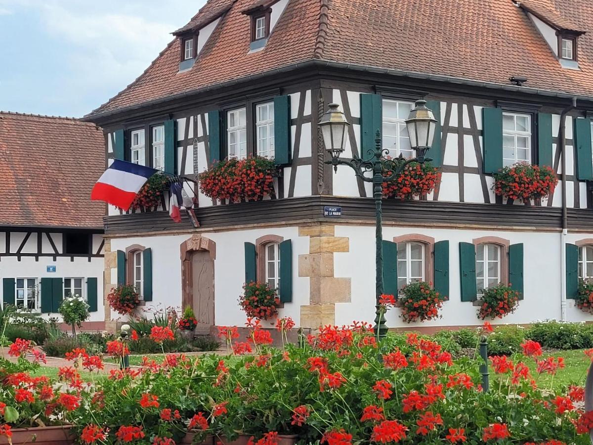 Cosy Holiday Home In Schleithal With Garden Kültér fotó